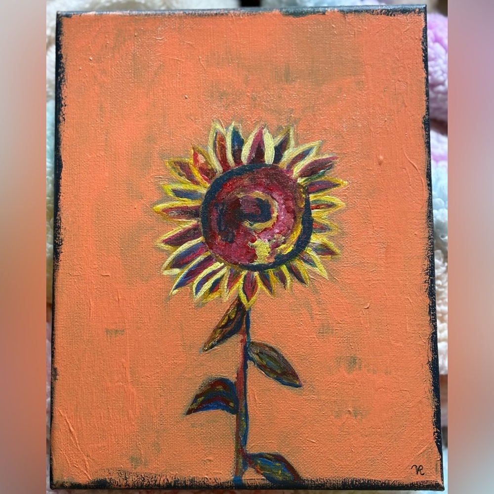 A new view.🌻
